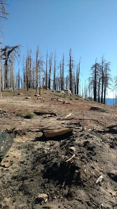 Panorama Campground 5
