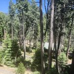 Sugarloaf Campground