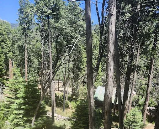 Sugarloaf Campground