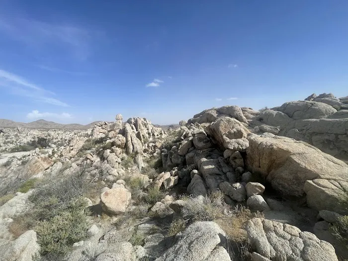 Mojave National Preserve Kelbaker Road South Entrance 1