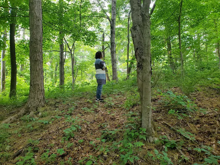 Indian Creek Camplands Inc 9