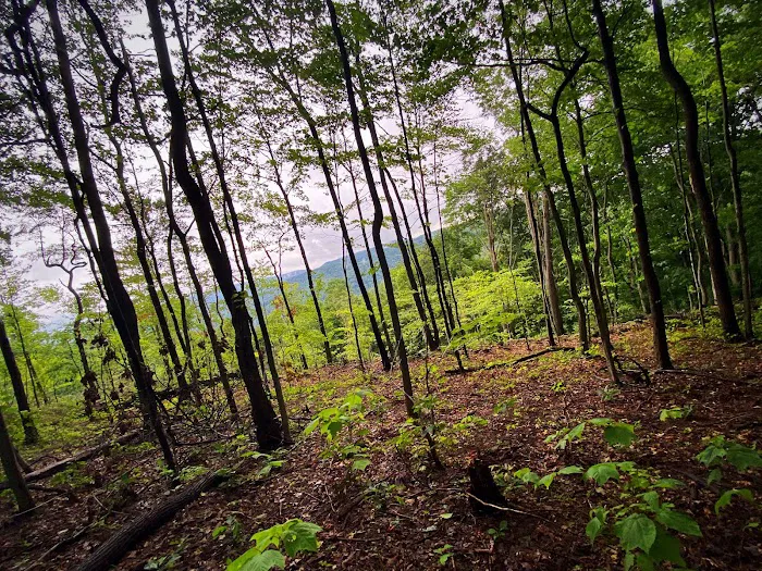 Indian Creek Camplands Inc 3