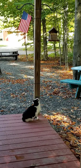 Paradise Park Campground 6