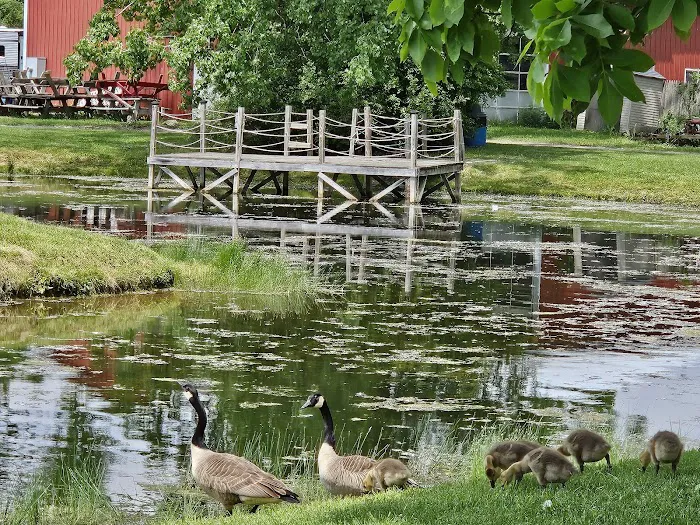 Paradise Park Campground 0