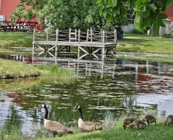 Paradise Park Campground