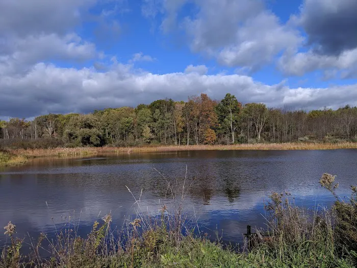 Foster pond camping area 0