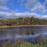 Foster pond camping area