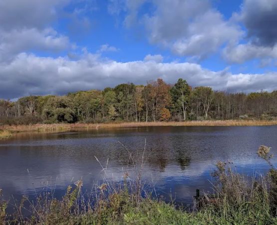 Foster pond camping area