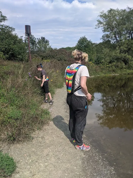 Foster pond camping area 3