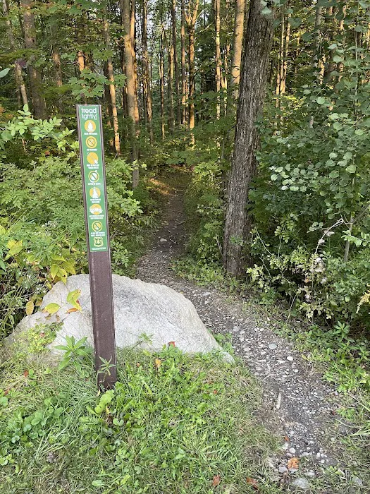 Foster pond camping area 6