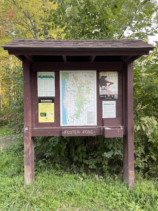 Foster pond camping area 2