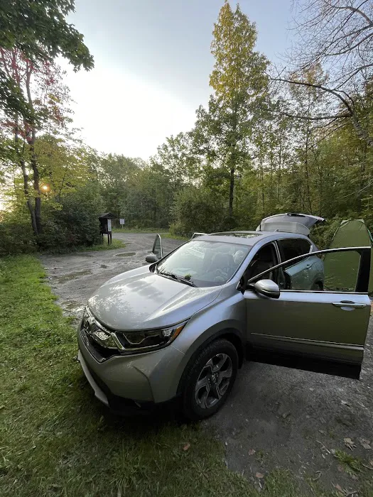 Foster pond camping area 1