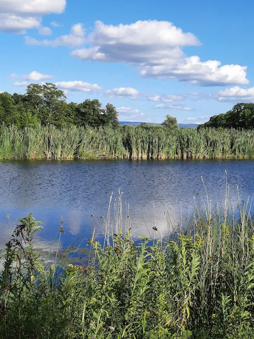 Potomac Group Campground 6