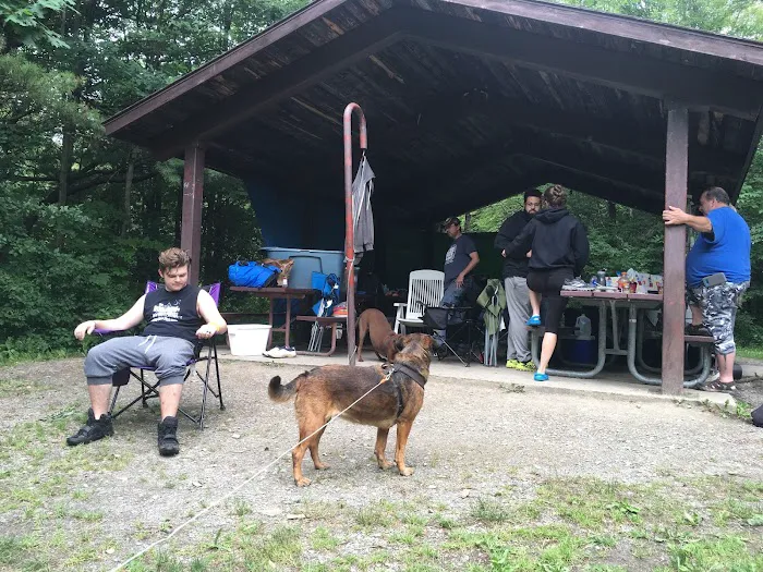 Potomac Group Campground 5