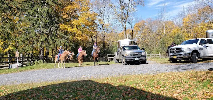 Backbone Horse Camp 4
