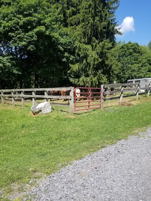 Backbone Horse Camp 6