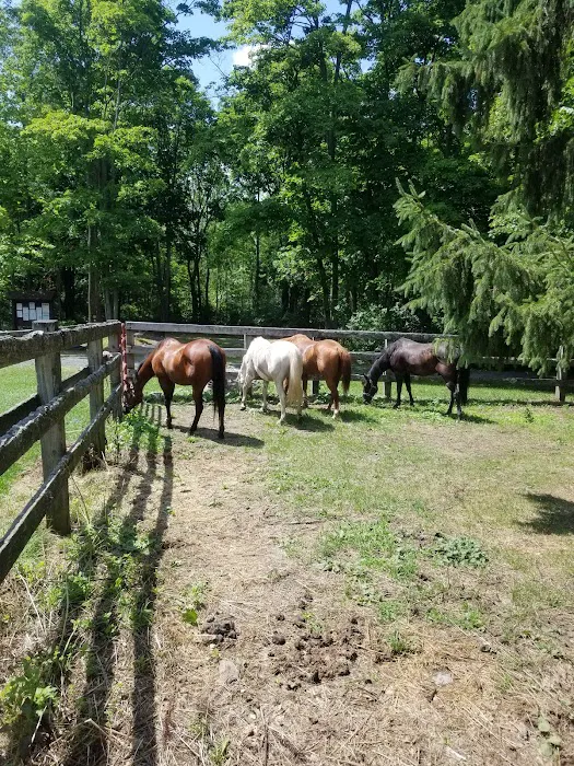 Backbone Horse Camp 7