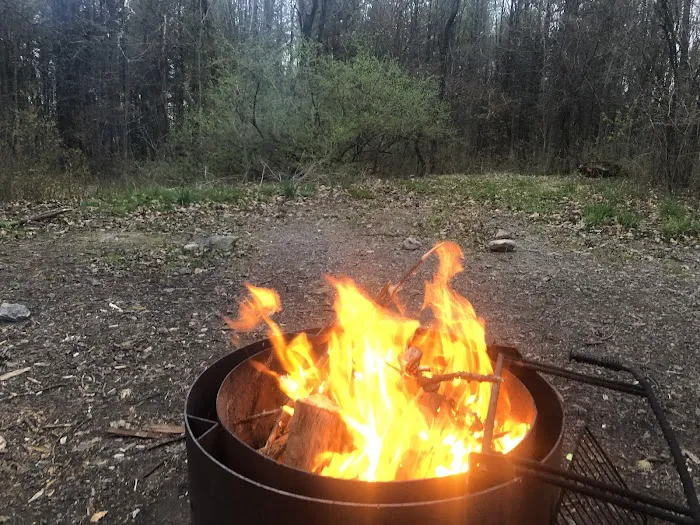 Blueberry Patch Campground 1