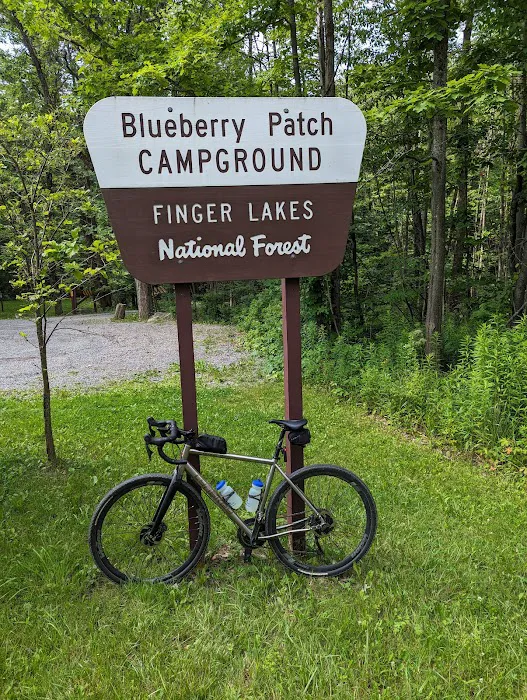 Blueberry Patch Campground 6