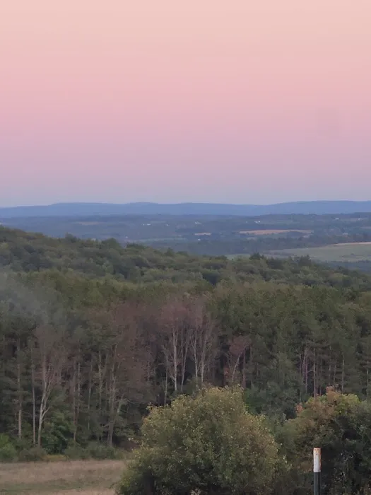 Blueberry Patch Campground 8