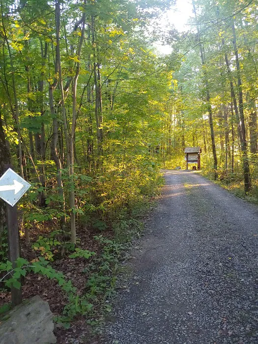 Blueberry Patch Campground 9