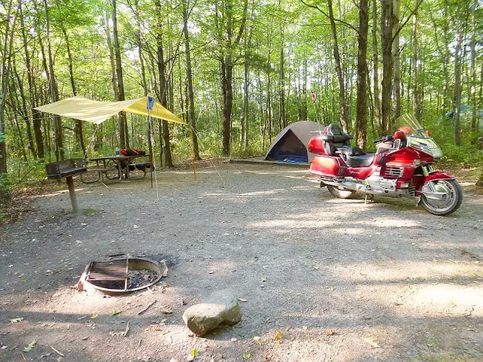 Blueberry Patch Campground 7