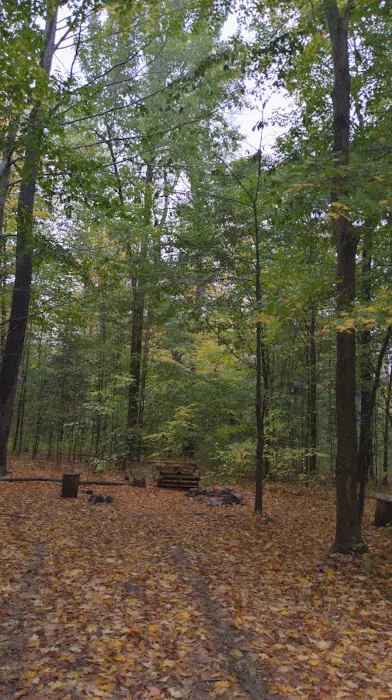 NYS DEC Designated Campsite 2