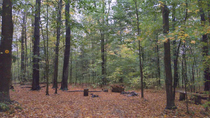 NYS DEC Designated Campsite 0