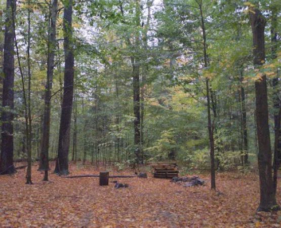 NYS DEC Designated Campsite
