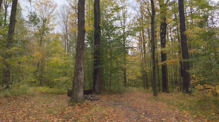NYS DEC Designated Campsite 1