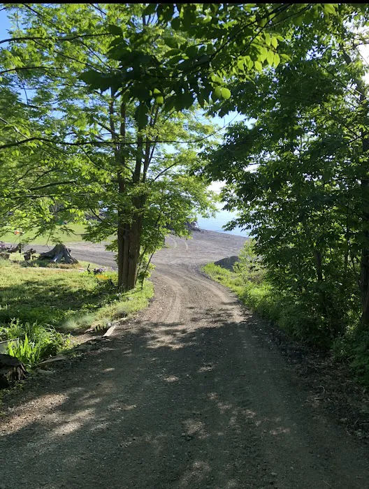 DJ's Campground 9