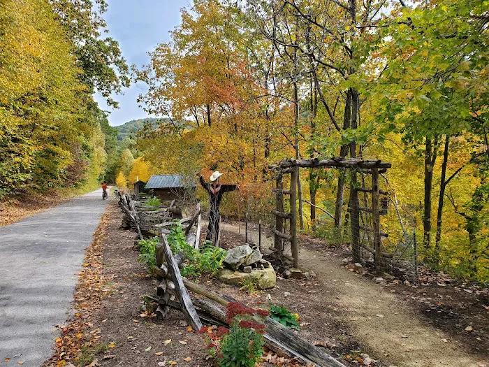 Adirondack shelter - Red Bank Valley Trail 9