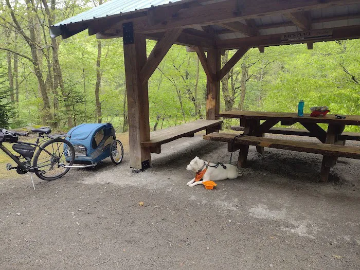 Adirondack shelter - Red Bank Valley Trail 5