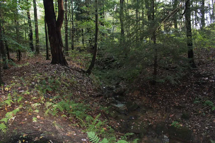 Lake Arthur Family Campground 9