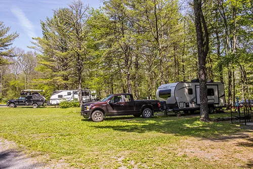 Holiday Pines Campground 9
