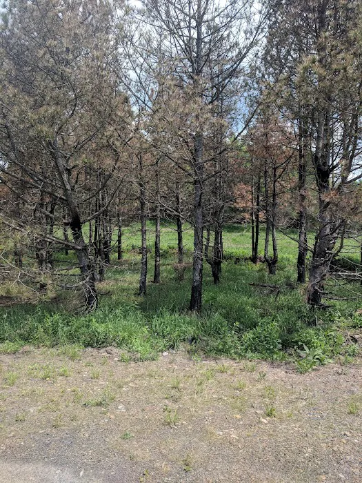 State Game Lands 321 8