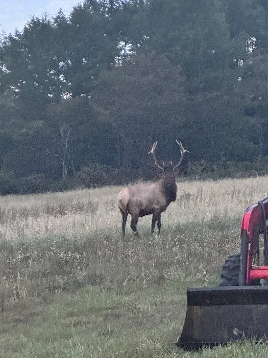 State Game Lands 321 7