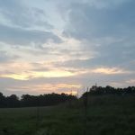 State Game Lands 321