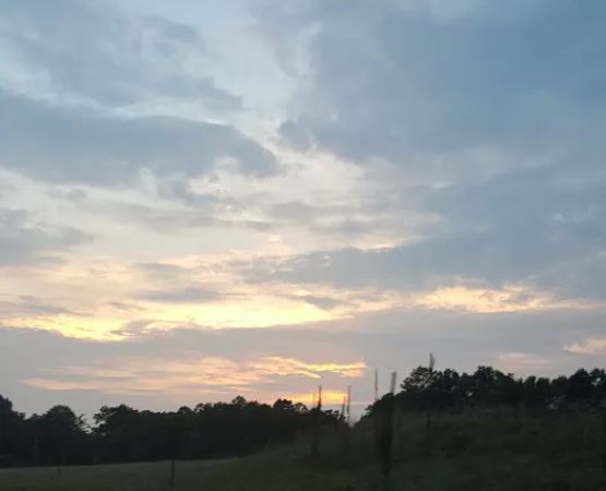 State Game Lands 321