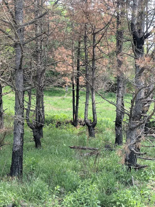 State Game Lands 321 6