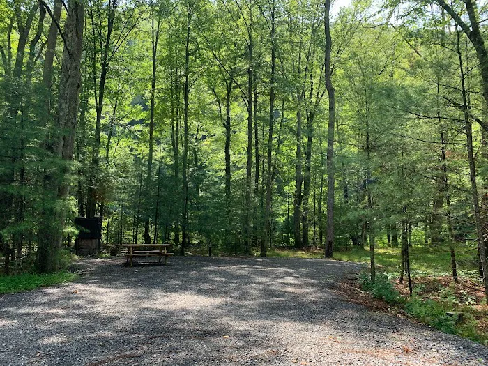 Riverview Campsites 4