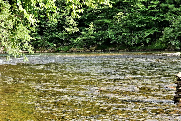 Benezett Store Campground 9