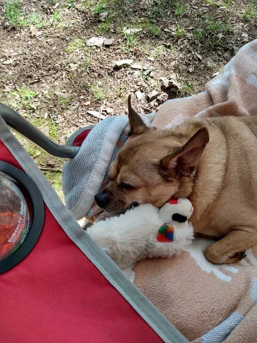 The Big Elk Lick Campground 4