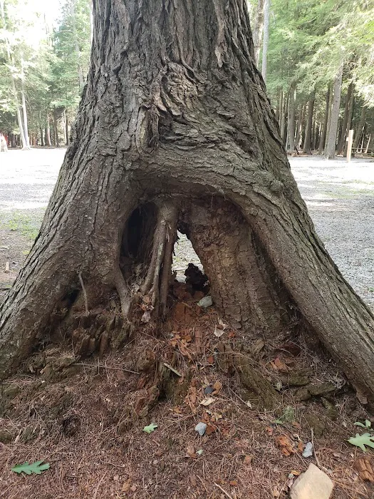 Lauder Family Campground 7