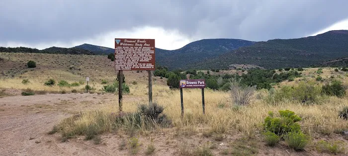 Swinging Bridge Campground 5