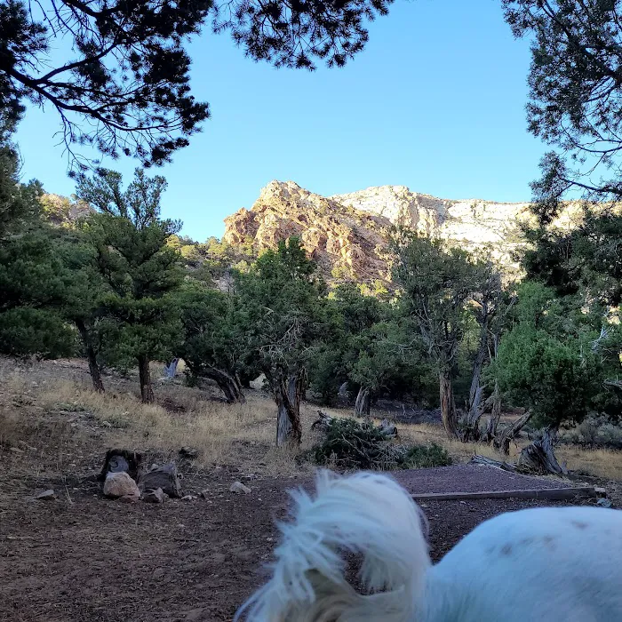 Irish Canyon Campground 1