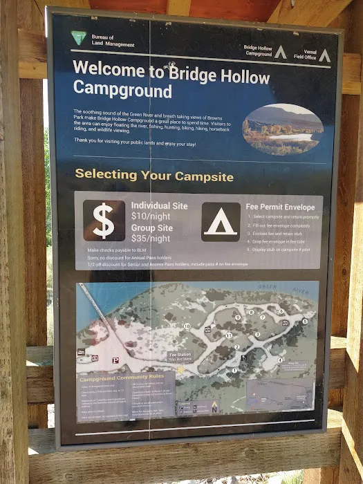 Bridge Hollow Campground 1
