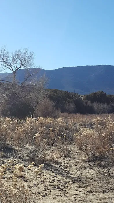 Bridge Hollow Campground 4