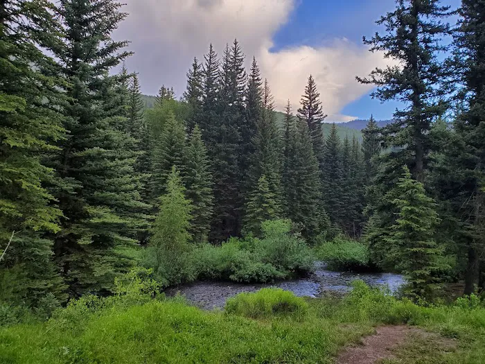 Smith and Morehouse Campground 6