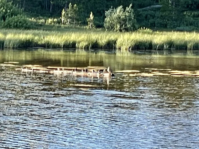 Little Lyman Lake Campground 0